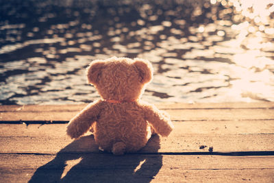 Teddy bear on pier over lake during sunny day