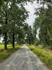 Road amidst trees against sky