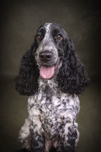 Close-up of dog against black background