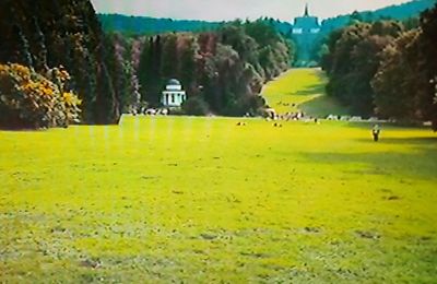 Scenic view of field against trees