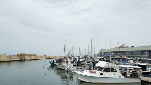 Sailboats in marina