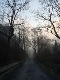 Empty road along bare trees