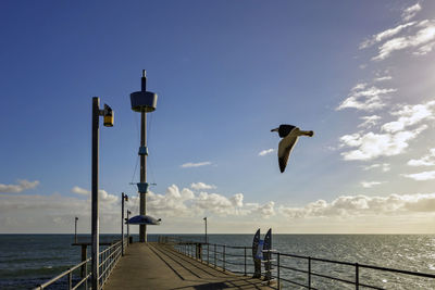 Seagull flying over sea against sky