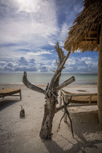 Driftwood on beach by sea against sky