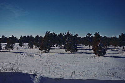 Trees on snow covered landscape against blue sky
