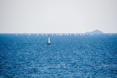 Sailboat sailing in sea against clear sky