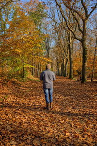 Rear view of man walking on autumn leaves