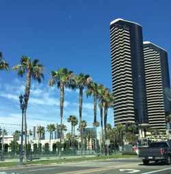 Palm trees by modern buildings against sky