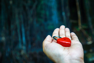 Close-up of person holding red hand