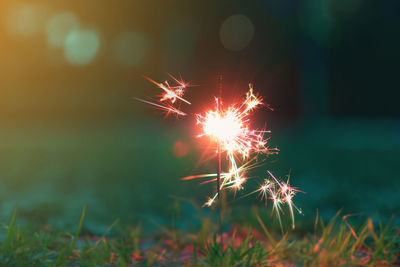 Close-up of firework display at night