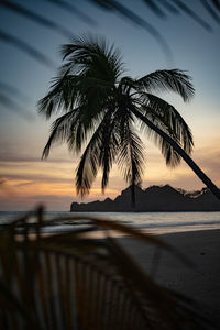 Silhouette palm tree by sea against sky at sunset