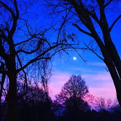 Low angle view of silhouette trees against sky at sunset