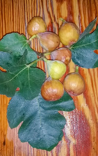 High angle view of fruits and leaves on table
