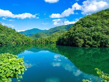 Scenic view of lake by trees against sky