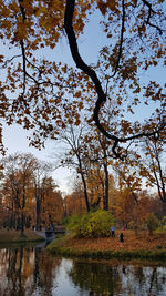 Trees by lake against sky during autumn