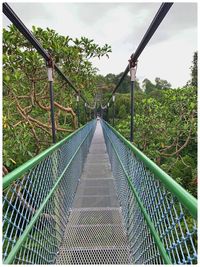 Footbridge over trees against sky