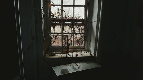 Window in room