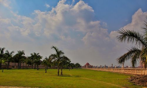 Trees on field against sky