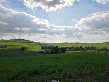 Scenic view of agricultural field against sky