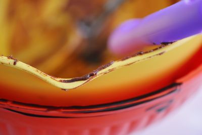 Close-up of food in bowl