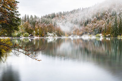 Scenic view of lake in forest against sky