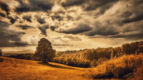 Scenic view of landscape against cloudy sky