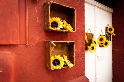 Close-up of yellow flowers on wall