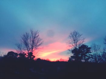 Silhouette trees against sky at sunset