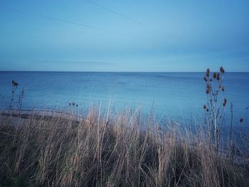 Scenic view of sea against blue sky