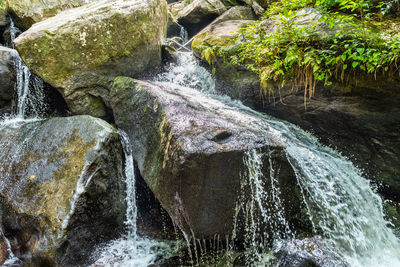 Scenic view of waterfall in forest