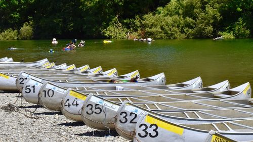 Boats moored in lake against trees