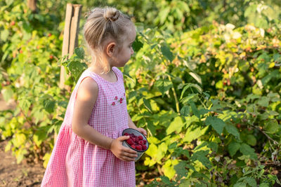 Cute girl harvesting fruits at farm