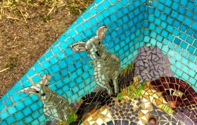 High angle view of bird in cage