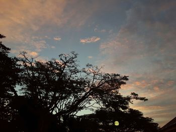 Low angle view of trees against cloudy sky