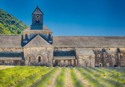 Vaucluse, provence, france, europe.