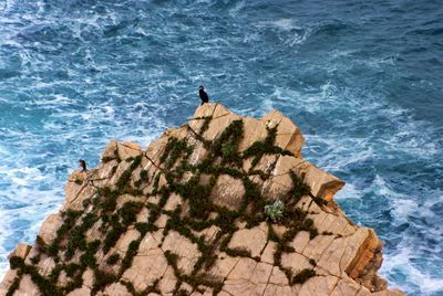 Rocks in sea