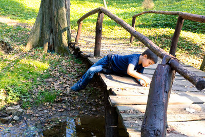 High angle view of man relaxing on tree trunk