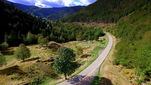 Scenic view of tree mountains