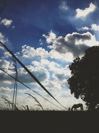 Low angle view of trees against cloudy sky