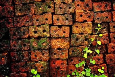 Full frame shot of brick wall