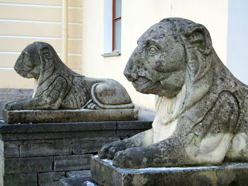 Close-up of statue against stone wall