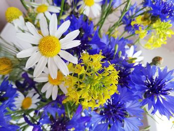 Close-up of purple flowering plants