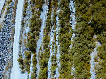 Full frame shot of snow covered trees