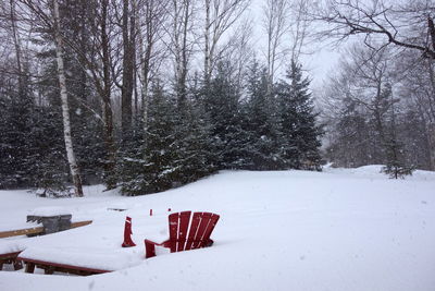 Snow covered field by trees during winter