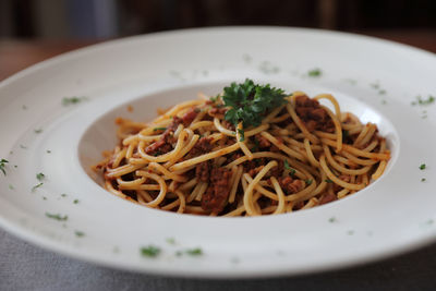 Close-up of noodles served in plate