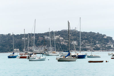 Boats moored at harbor against clear sky