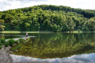 Scenic view of lake in forest against sky