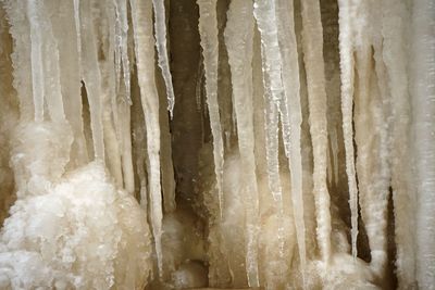 Close-up view of sunlight