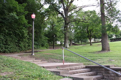 Footpath in park