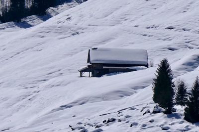 Snow covered landscape